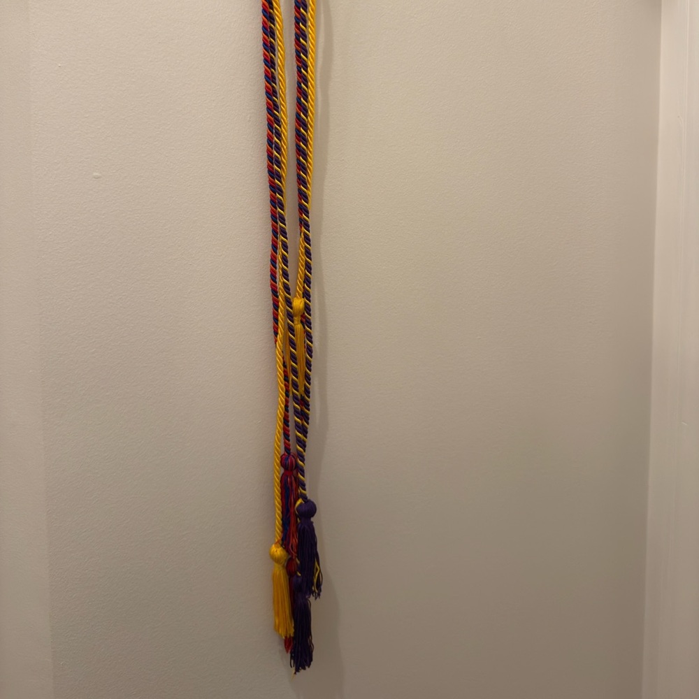 Multicolor Graduation Cords | university honor tassels cords